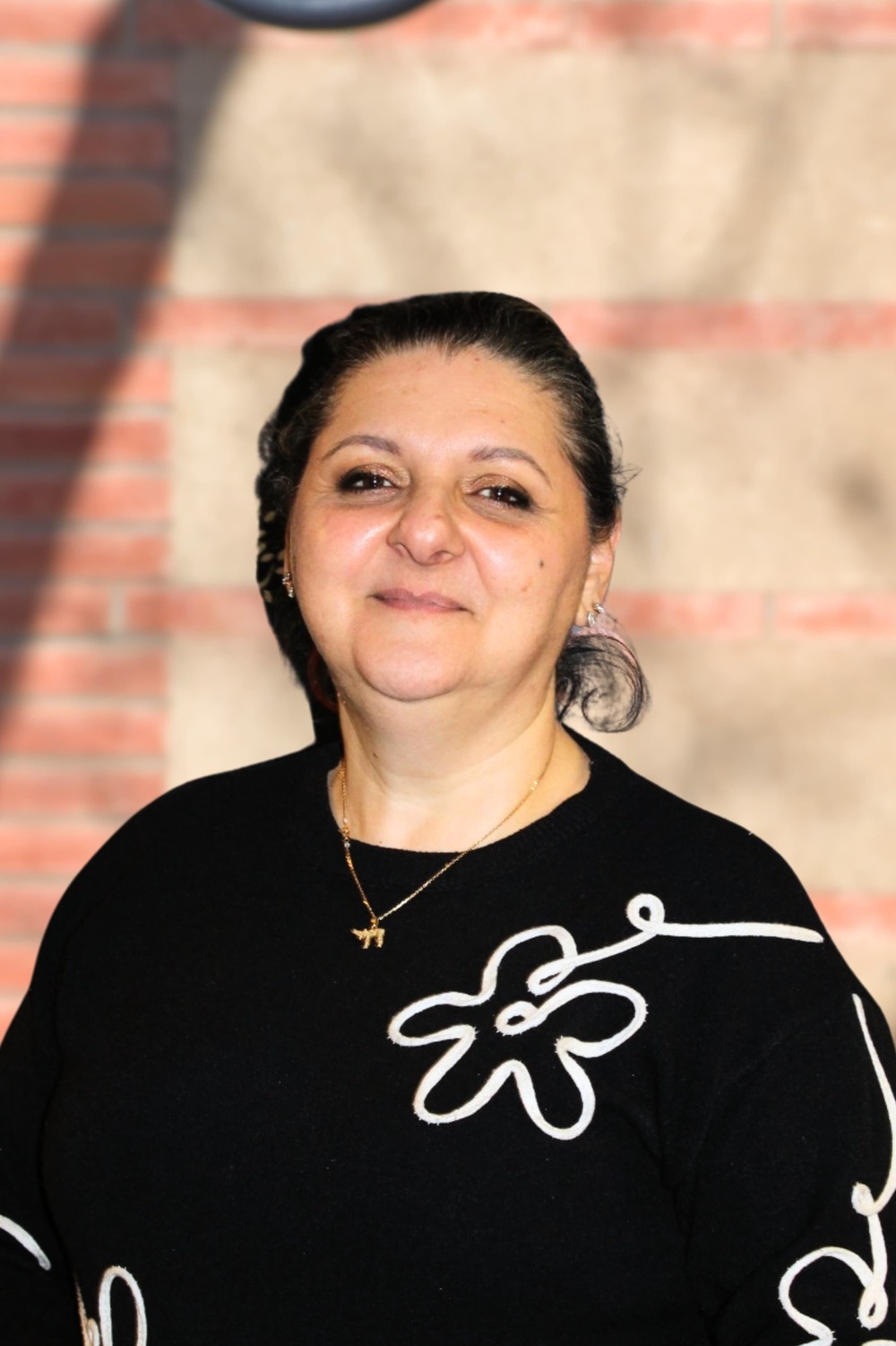 Élections Colomiers, Événements Colomiers, Thomas Lamy